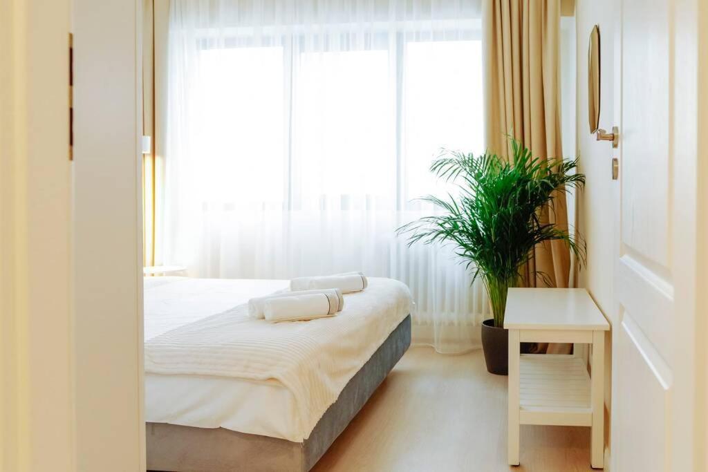 Elegant Vibes Apartment Next To Obor Market Bucarest Extérieur photo