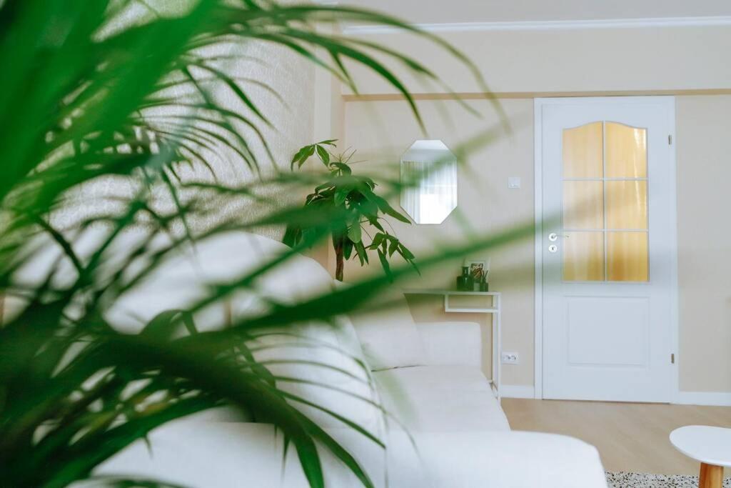 Elegant Vibes Apartment Next To Obor Market Bucarest Extérieur photo